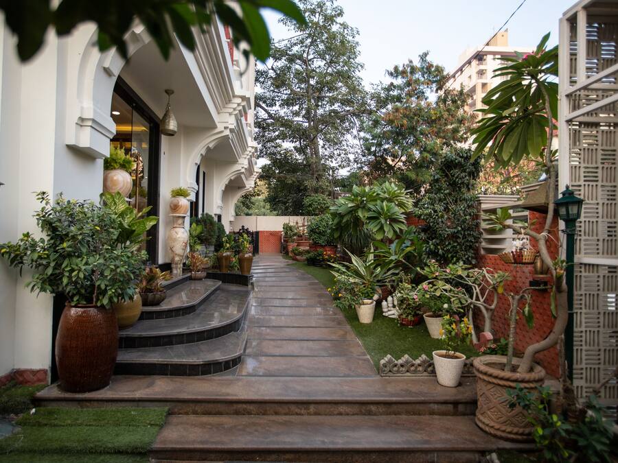 Garden