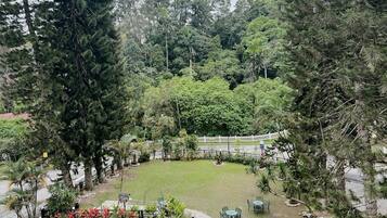 Pemandangan taman