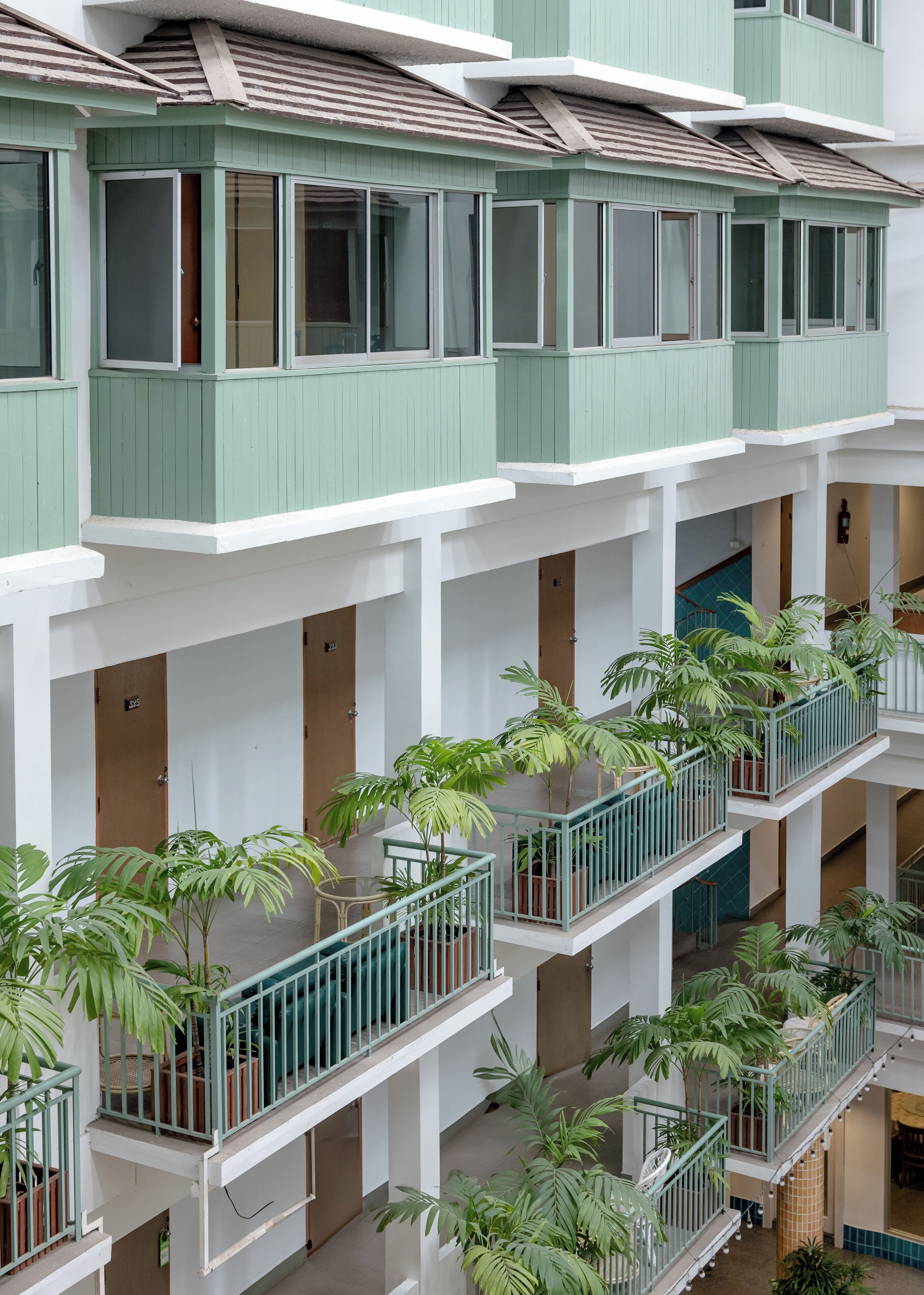 วิวสนามหญ้า