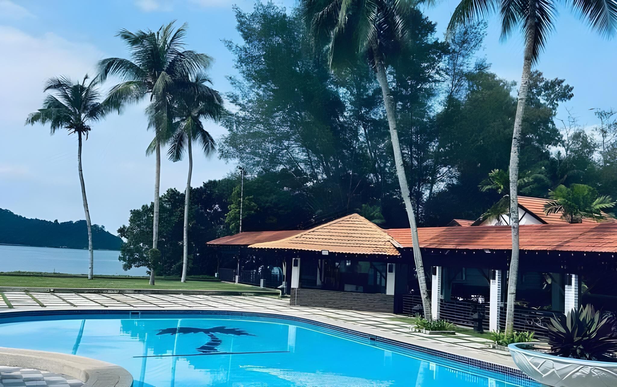 A swimming pool with a clear blue water surface, surrounded by palm trees and a building with a red roof.
