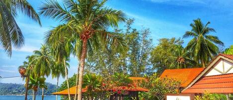 A resort with palm trees, a beach, and a sign for 'Plusi Bayu'.