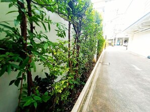 Property grounds - Chiang Mai Lodge (Chiang Mai)