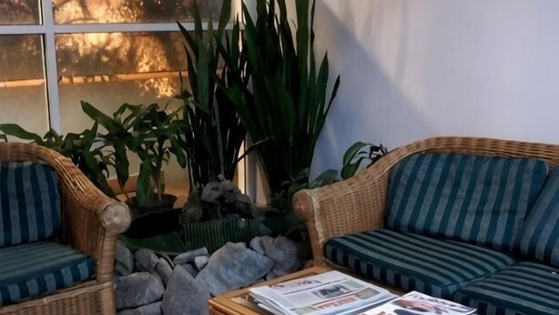 A room with wicker furniture, a coffee table with magazines, and large green plants. - Century Hotel Inanam (Kota Kinabalu)