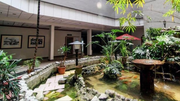 Un jardín interior con fuente de agua, plantas en macetas y un sendero de piedra.