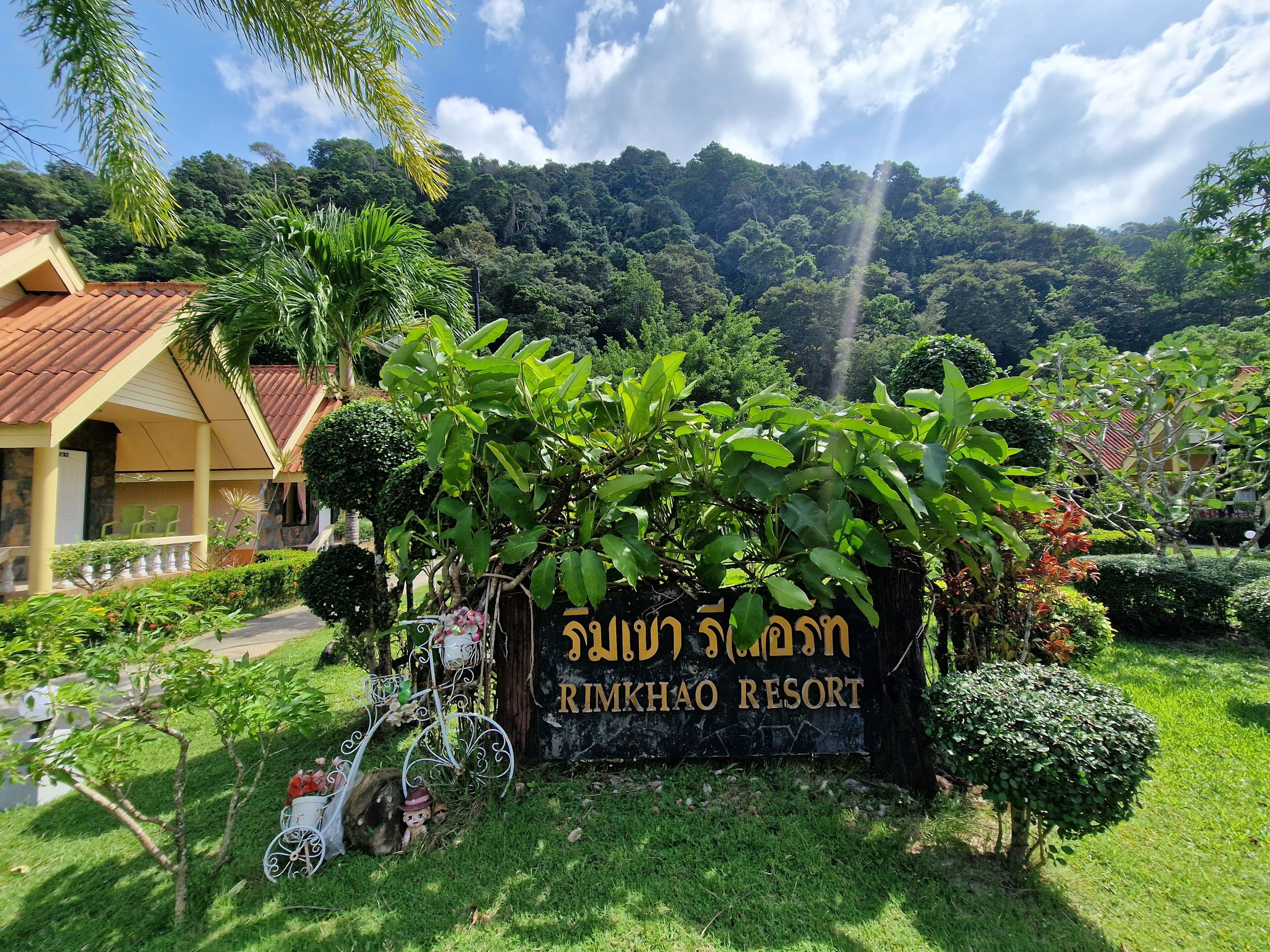 View from property