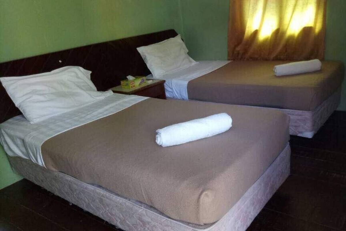 Two single beds with brown bedding and white pillows, a small table with a phone and a box, and a window with curtains.
