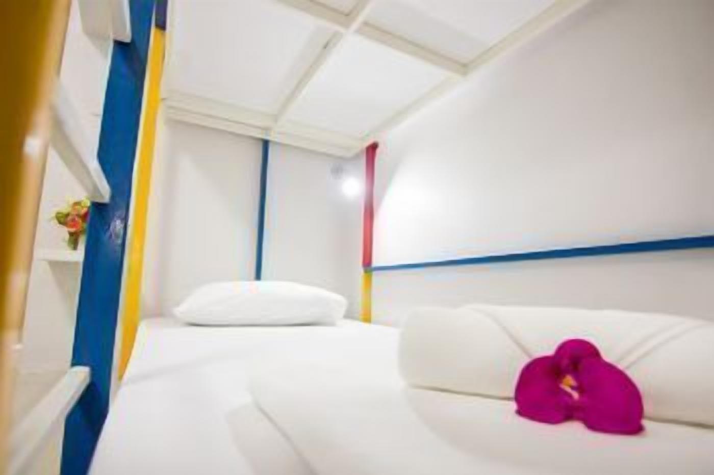 A modern hotel room with a white bed, a blue accent wall, and a pink flower decoration.