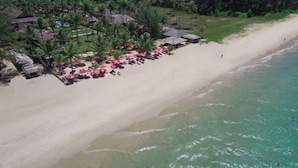 Vista aérea de un resort en la playa con filas de palmeras, sombrillas y una orilla arenosa.