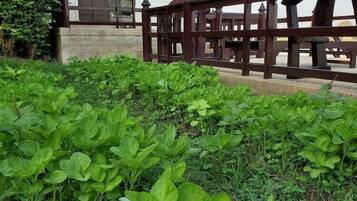 DĂ©tail de lâextĂ©rieur