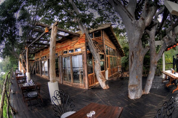 International cuisine