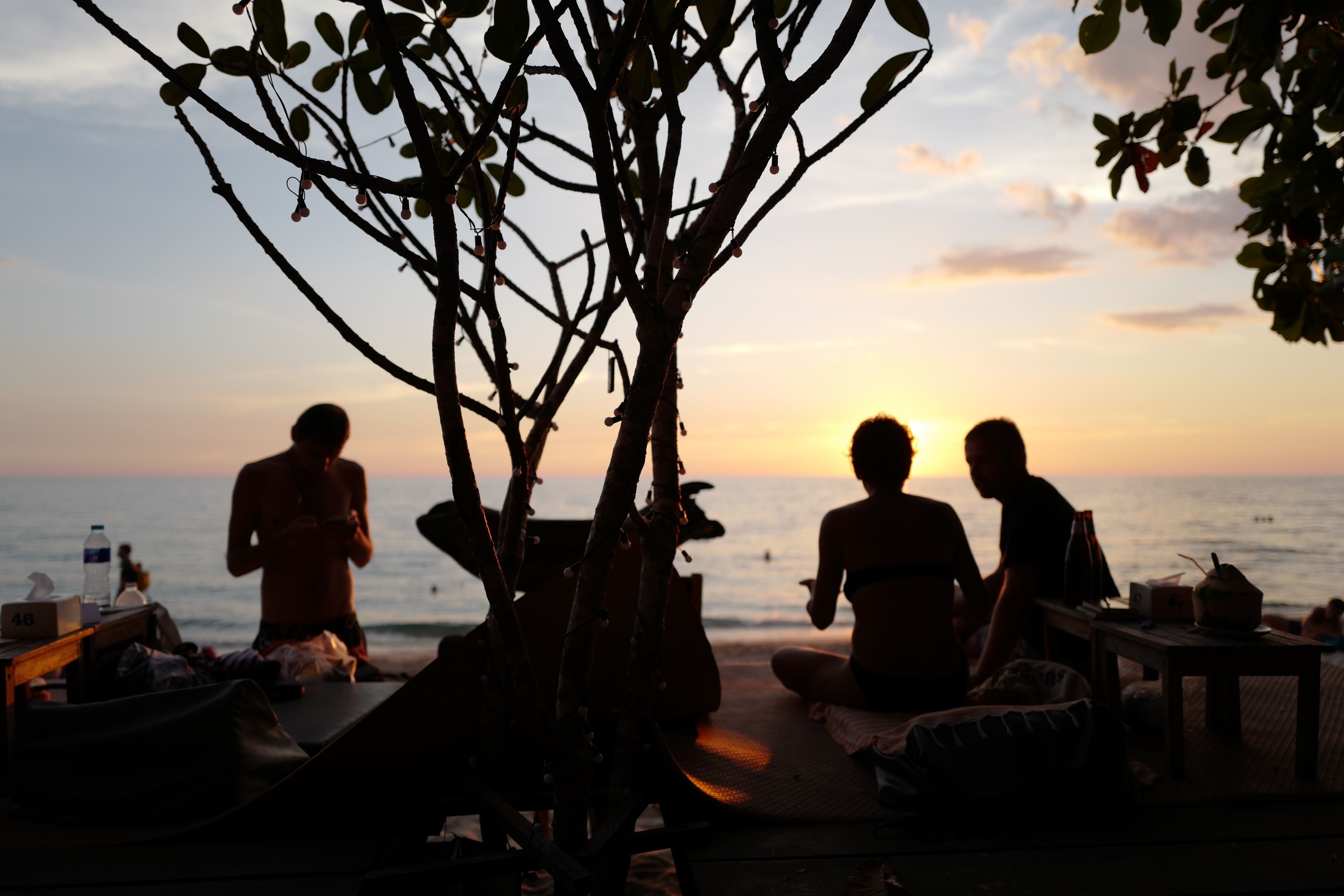 A beach scene with people sitting and standing near the water, a tree in the foreground, and a sunset in the background.