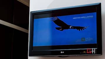 Television