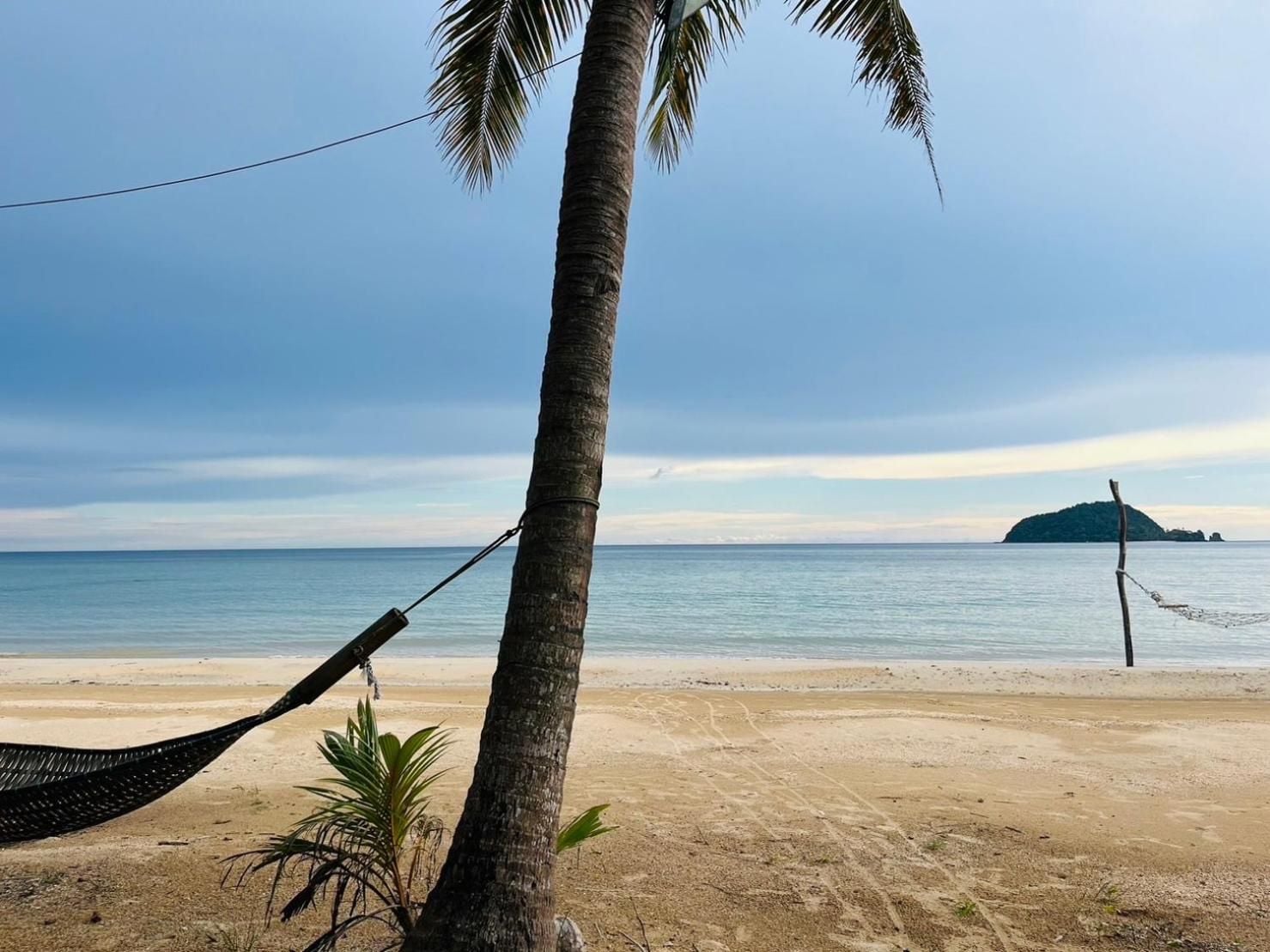 A beach scene with a hammock, a palm tree, and a distant island.