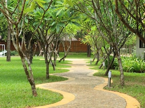 Un chemin pavé bordé d’arbres, situé dans un espace aménagé.
