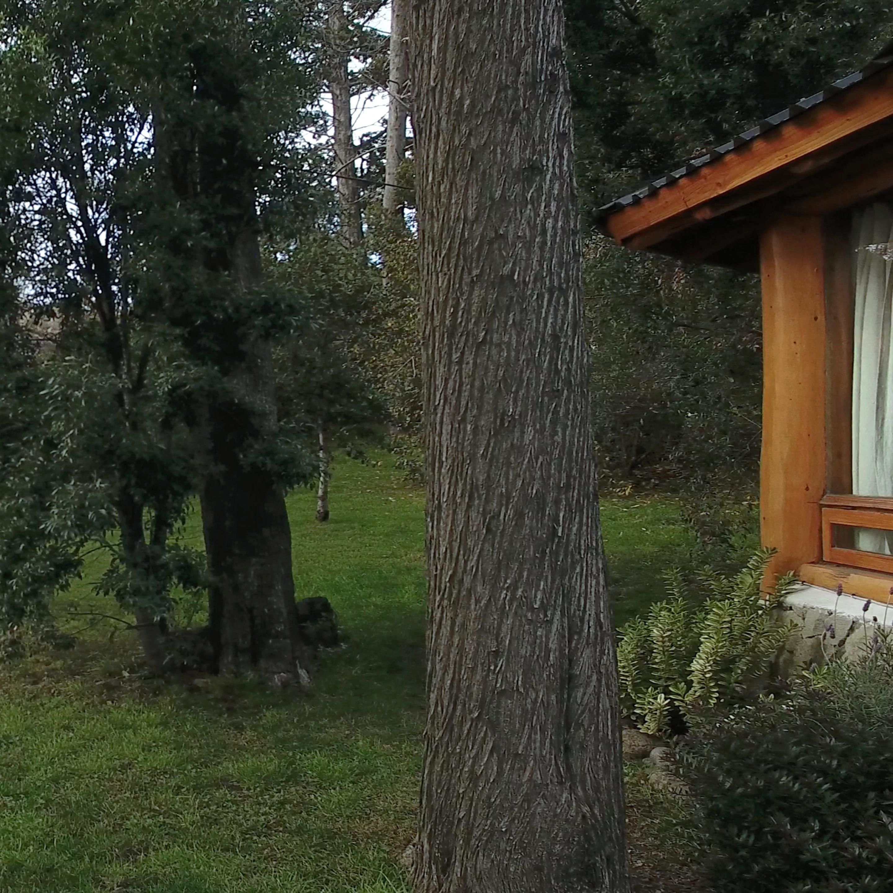 Foto - HTL La Malinka