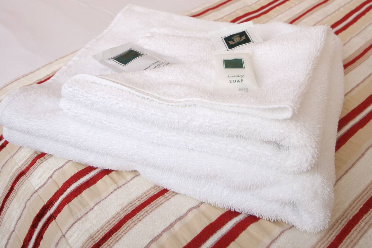Iron/ironing board (on request), WiFi (free), bed sheets