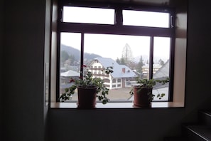 Een raam met twee planten in pot op een vensterbank, met uitzicht op een gebouw met een witte gevel en een schuin dak.