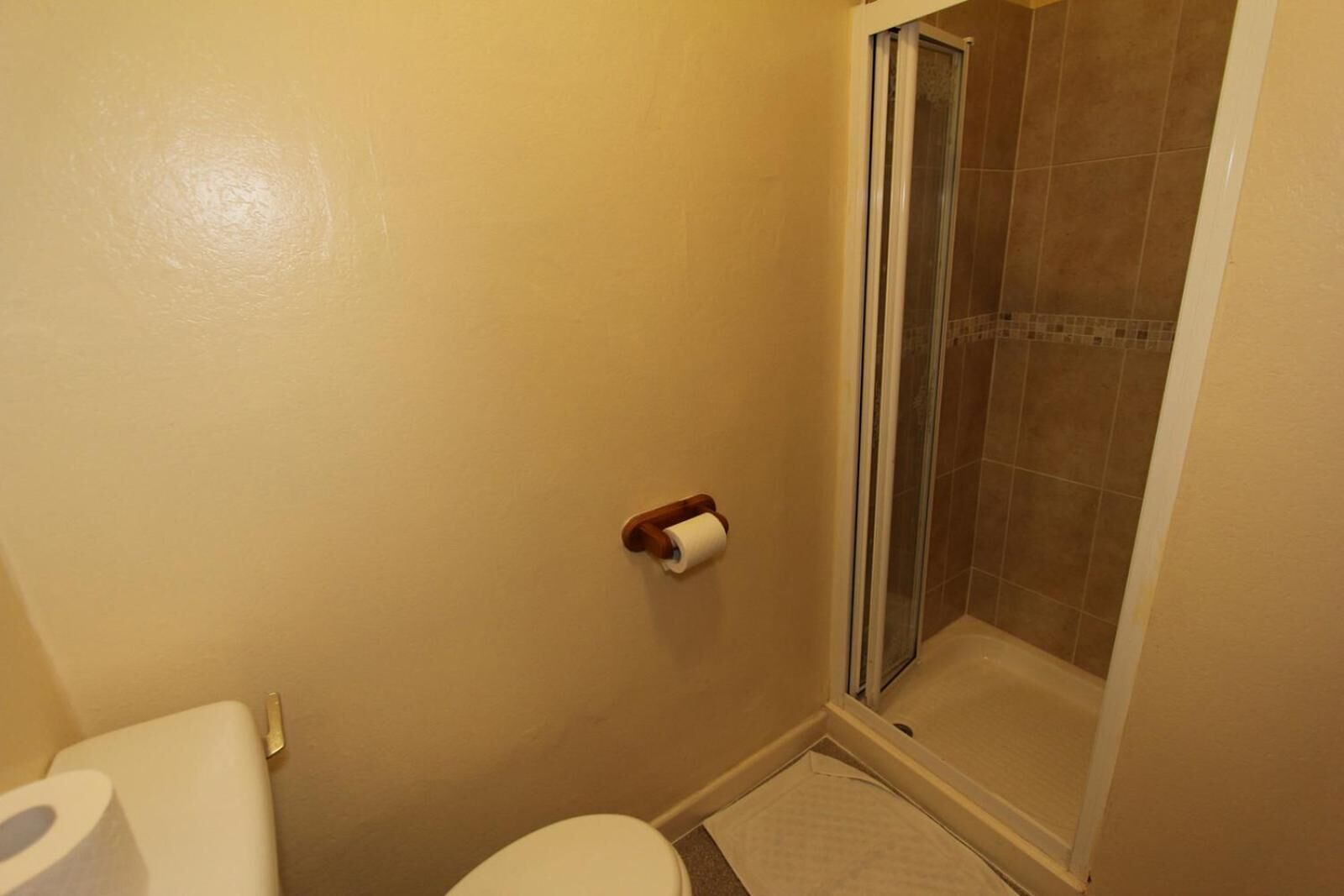 A small bathroom with a toilet, a shower stall, and a roll of toilet paper on the wall.
