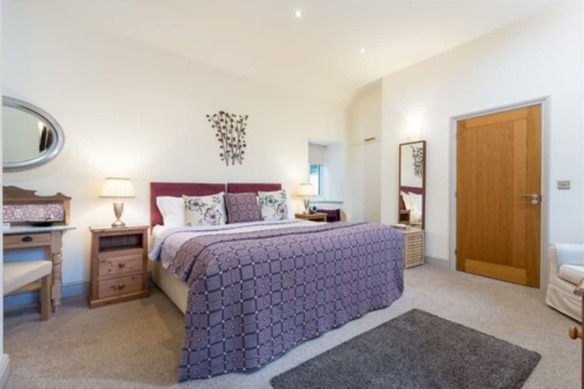 A bedroom with a bed, bedside tables, a dresser, a mirror, and a door.