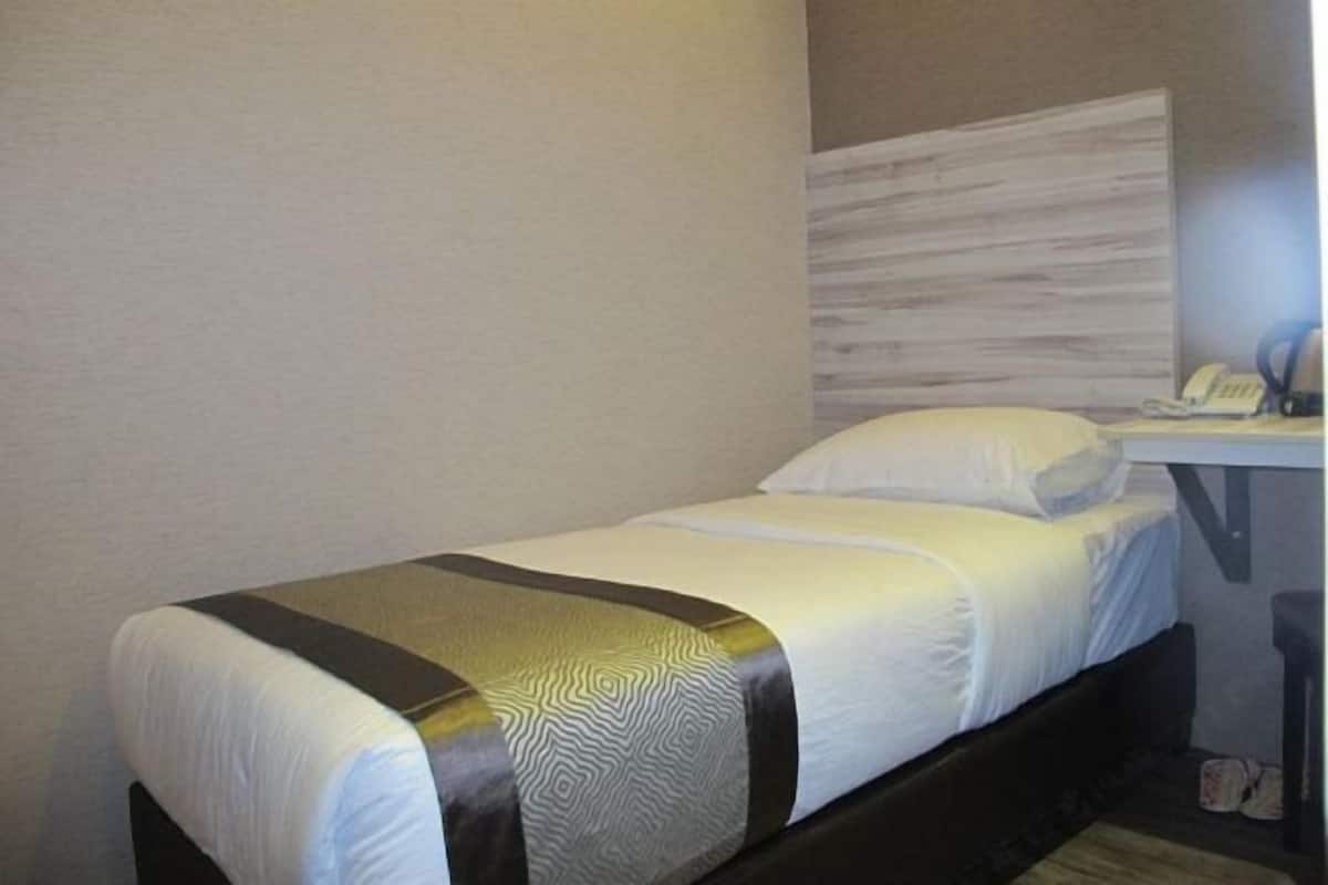 Desk, soundproofing, iron/ironing board, free WiFi