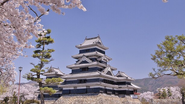 A traditional Japanese castle with multiple tiers and a stone base, surrounded by cherry blossom trees. - Hotel Montagne Matsumoto (Matsumoto)