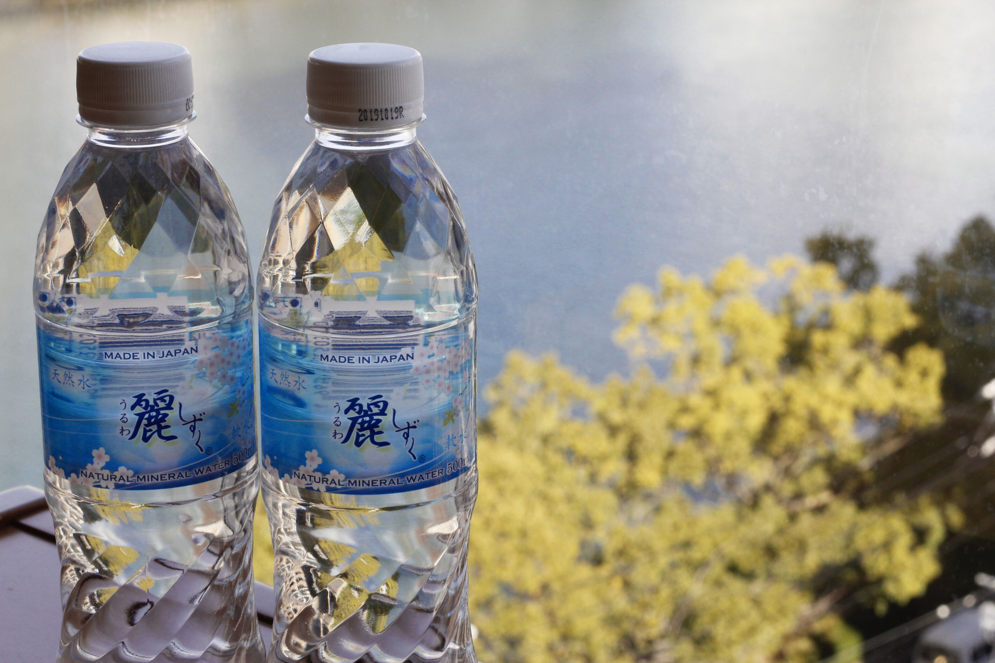 room | 1 bedroom, desk, blackout curtains, free wifi