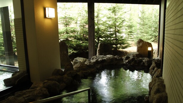 An indoor rock garden with a water feature and a view of a forest through a large window. - Tokachi Sahoro Resort (Shintoku)