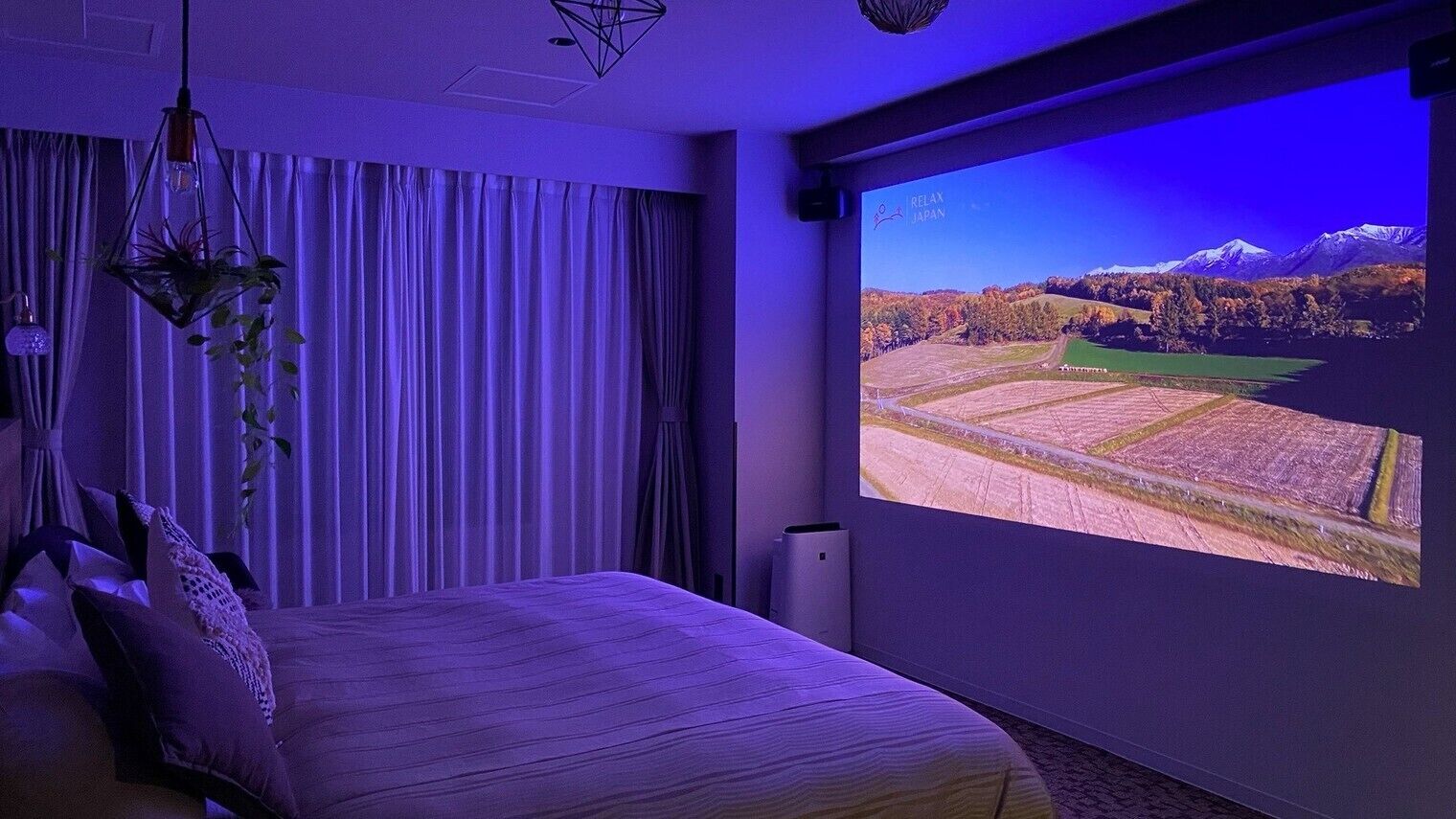 A bedroom with a bed, curtains, a hanging plant, and a large window displaying a landscape.