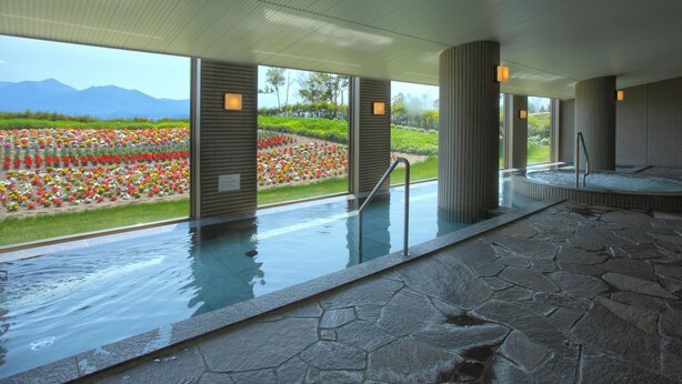 Un espace spa doté d’une piscine en pierre, de grandes fenêtres et d’une vue sur un jardin fleuri.