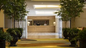 Un espace d’accueil avec un comptoir de réception en bois, deux employés et un comptoir d’enregistrement. De part et d’autre de l’entrée, on trouve des plantes en pot.