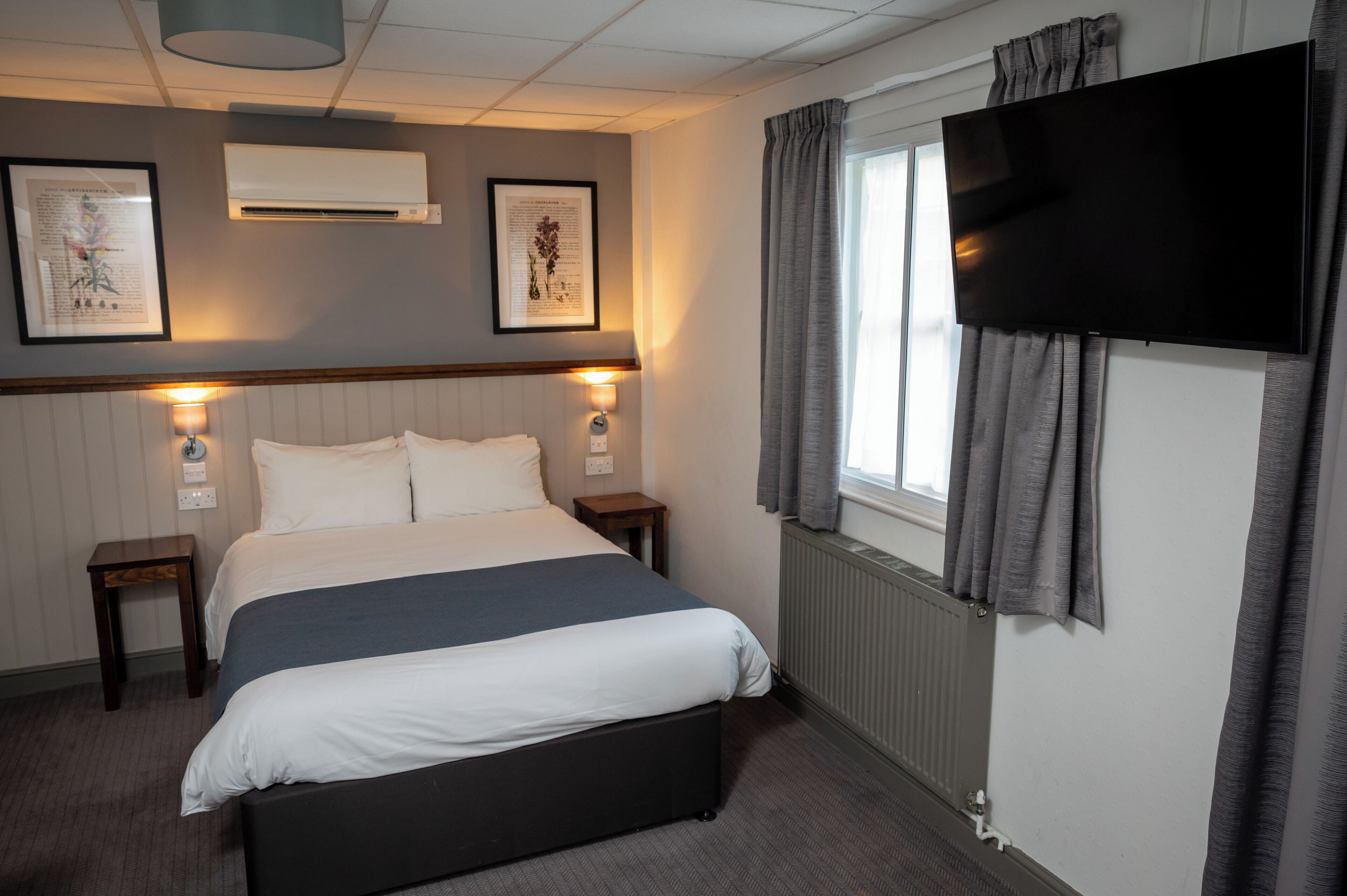 Habitación de hotel con cama, mesitas de noche, televisor de pantalla plana, equipo de aire acondicionado e impresiones botánicas enmarcadas en la pared.