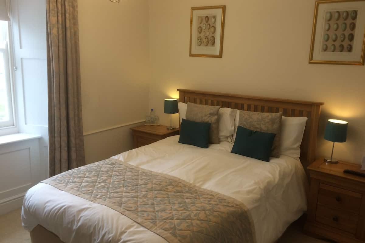 standard double room | 1 bedroom, iron/ironing board, free wifi, bed sheets