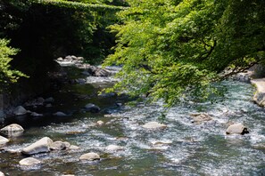 View from room - Ichinoyu Honkan (Hakone)