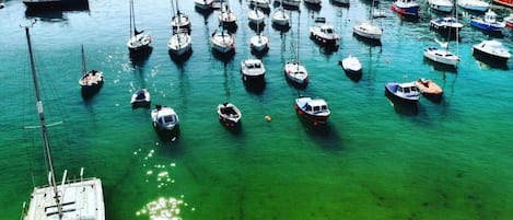 Un puerto deportivo con numerosos barcos amarrados, rodeado de vegetación y colinas.