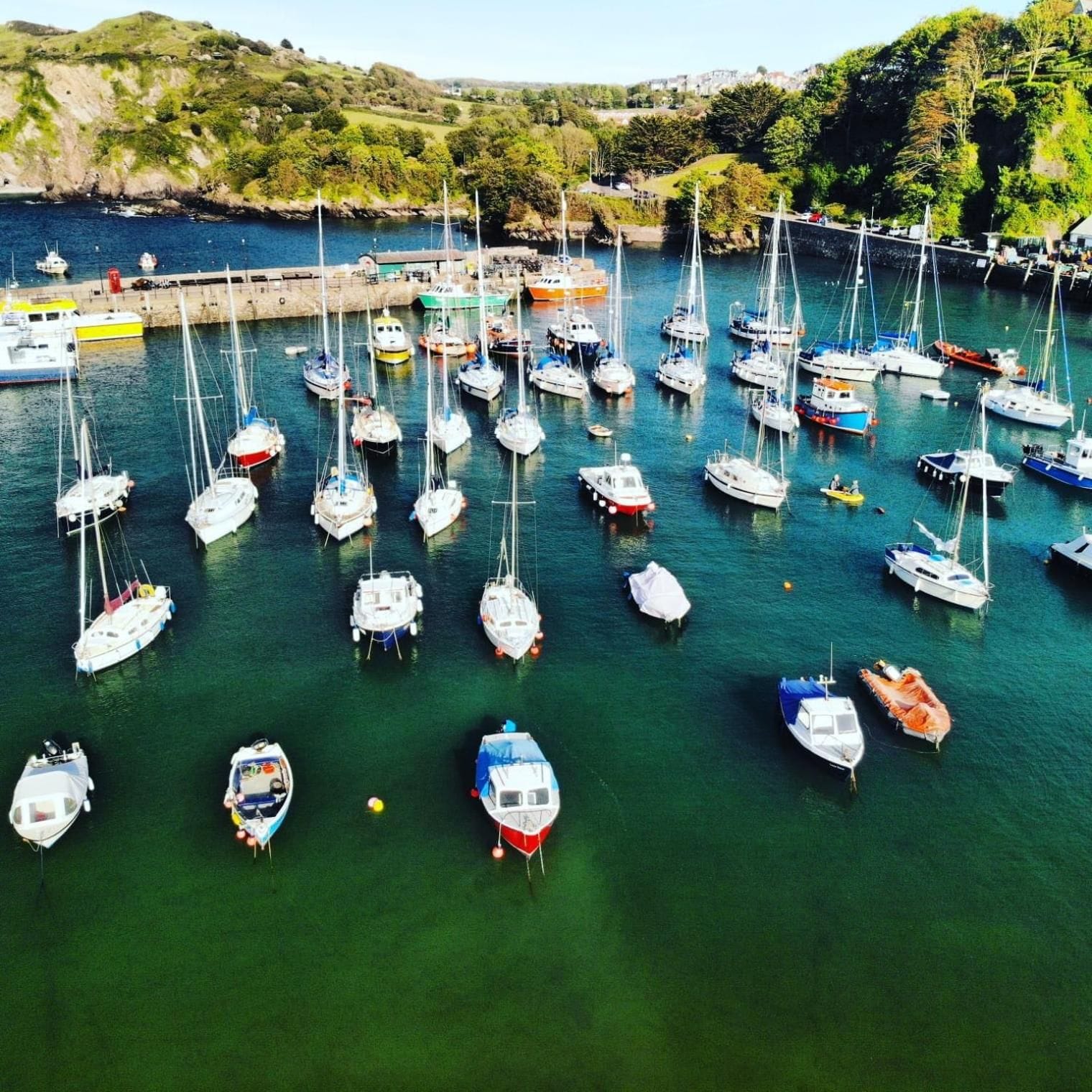 Un port de plaisance où sont amarrés de nombreux voiliers.