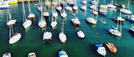 A marina with numerous sailboats docked.