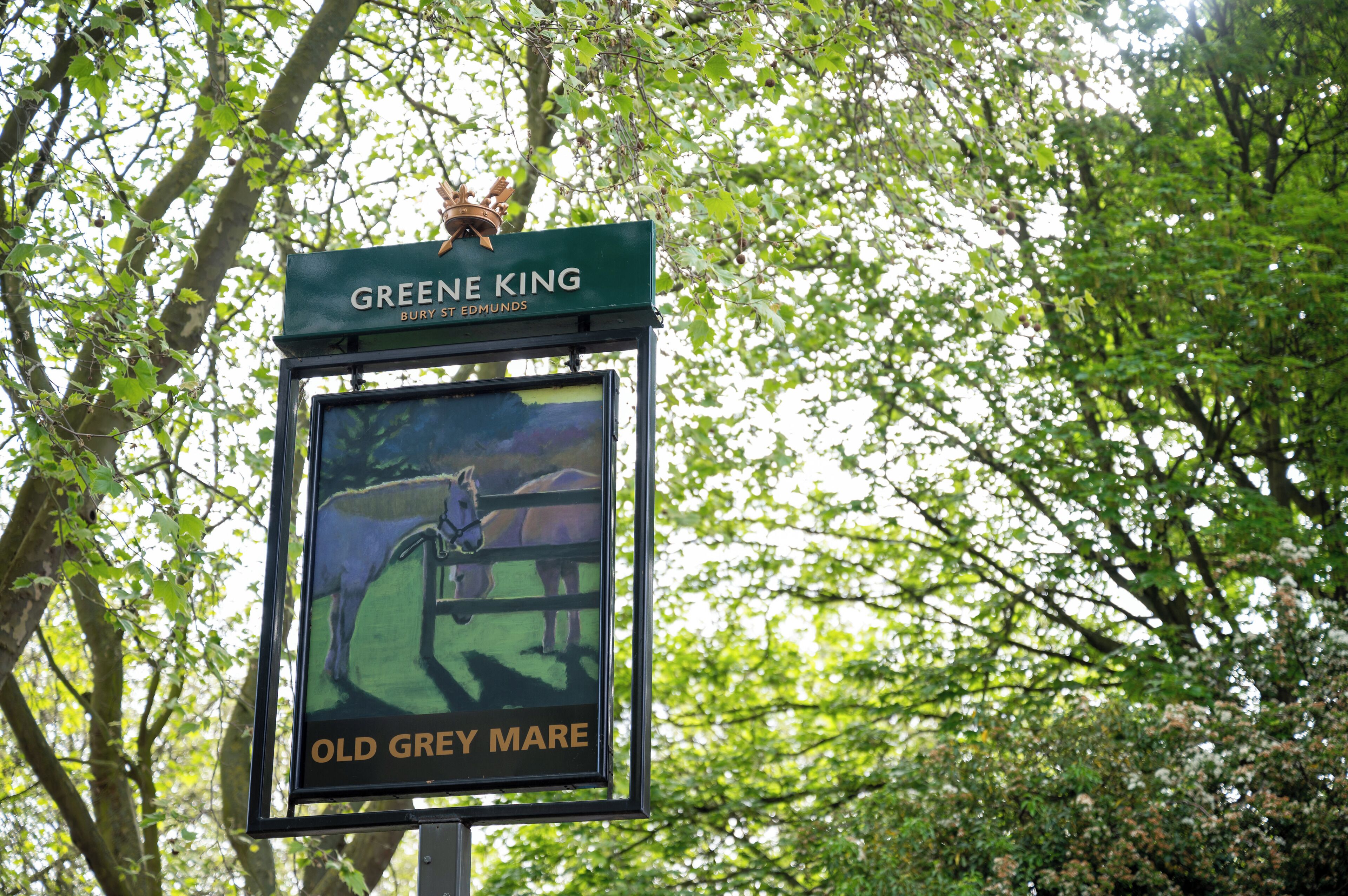 A sign for Greene King Bury St Edmunds Old Grey Mare.