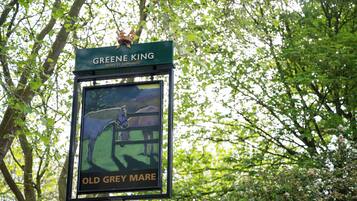 Señal de Greene King Bury St Edmunds Old Grey Mare.