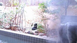 A small outdoor pool with a waterfall feature, surrounded by rocks and plants. - Oyado Ichifuji (Nikko)