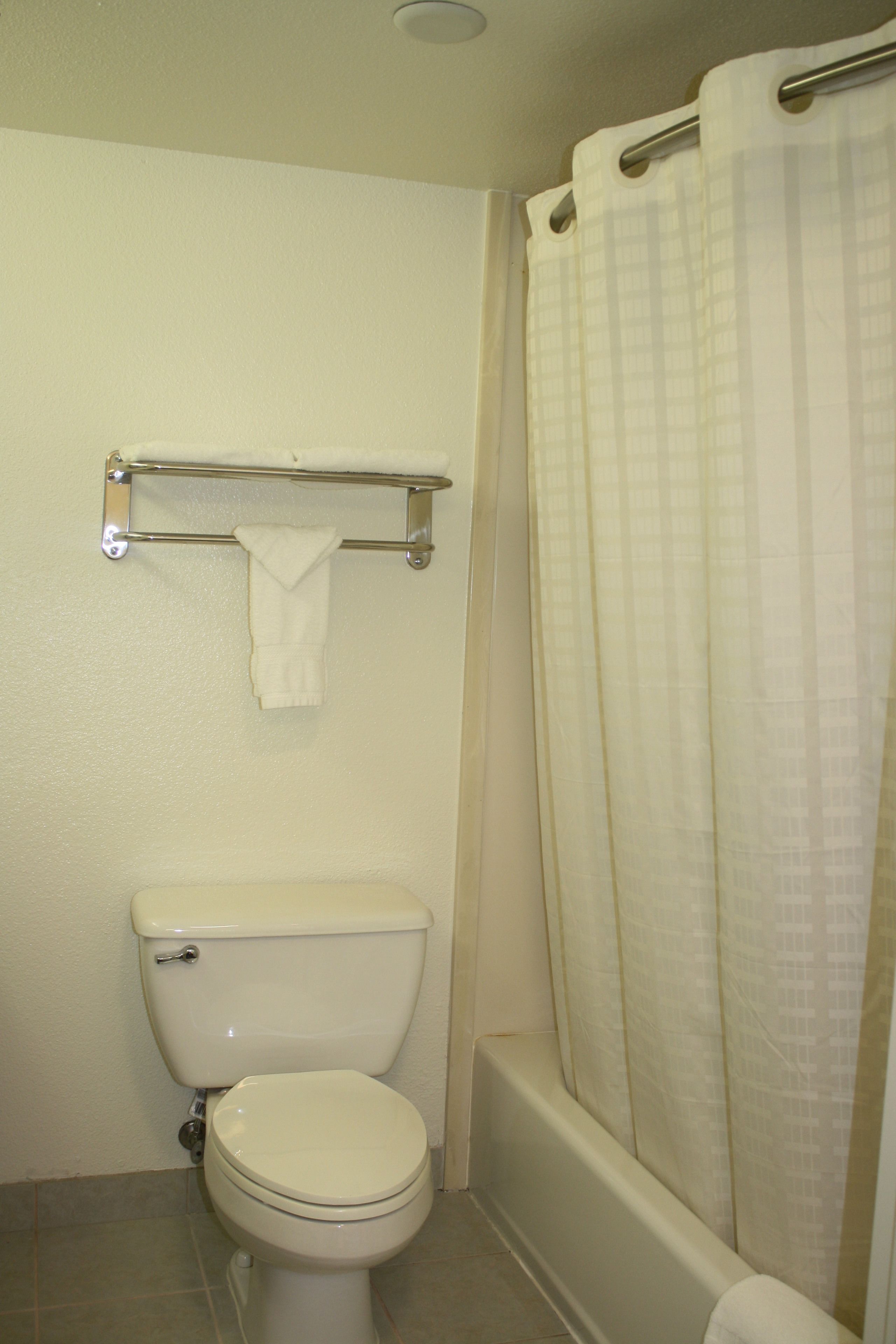 Une salle de bain équipée de toilettes, d’un porte-serviettes et d’un rideau de douche.