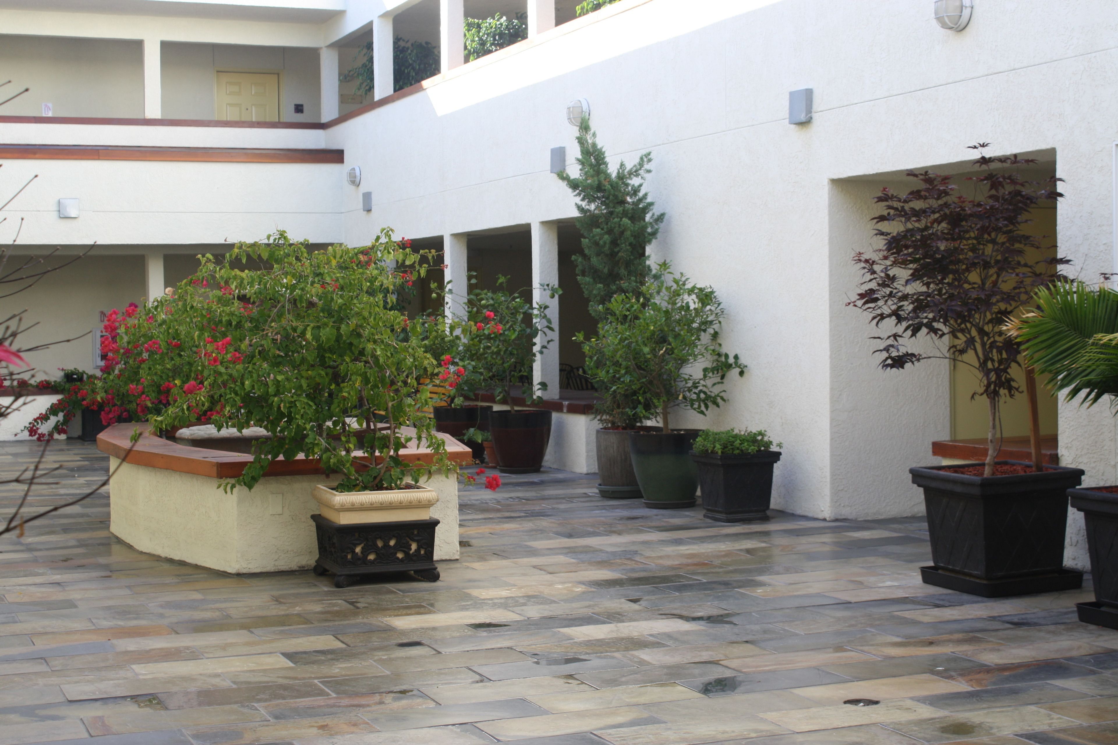 A courtyard with potted plants and a tiled floor.