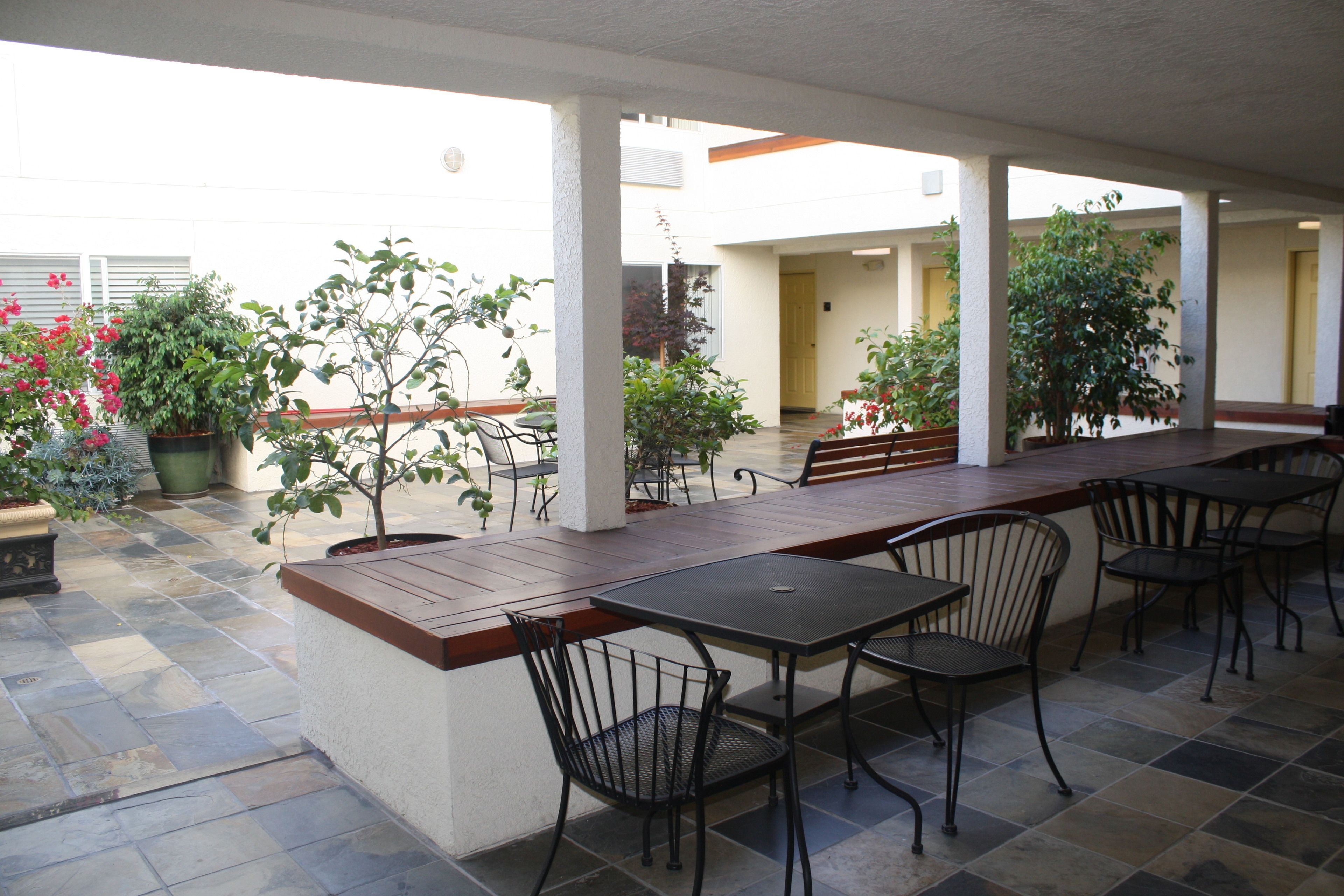 An outdoor patio area with a long table and chairs, surrounded by potted plants and a tiled floor.