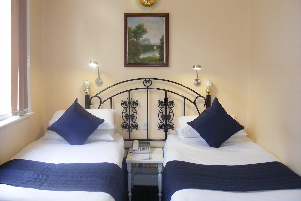 A double bed with two pillows, a bedside table with a lamp, and a painting on the wall.