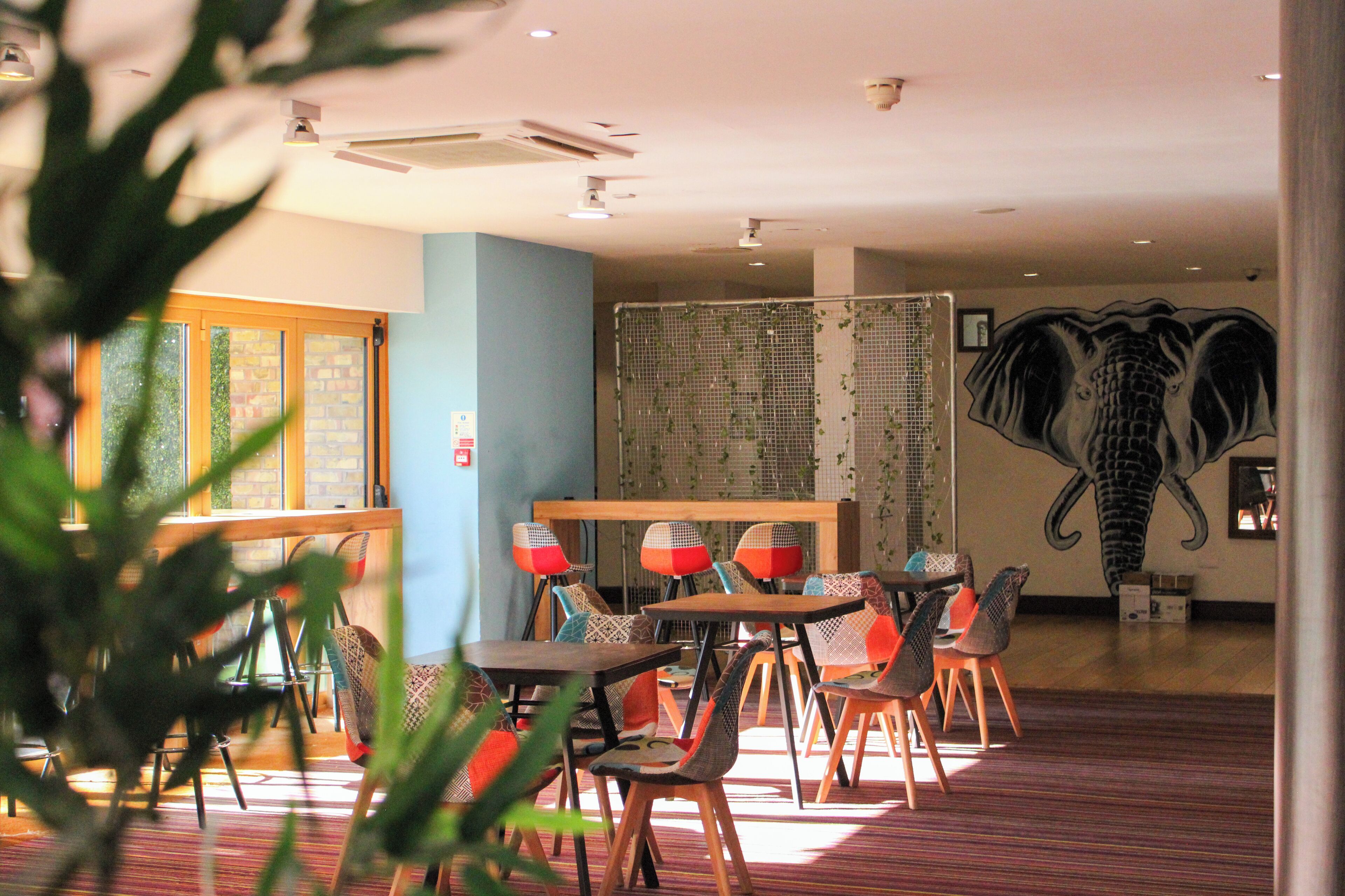 Een restaurant met een grote muurschildering van een olifant, houten tafels en stoelen, en uitzicht op buiten door een raam.