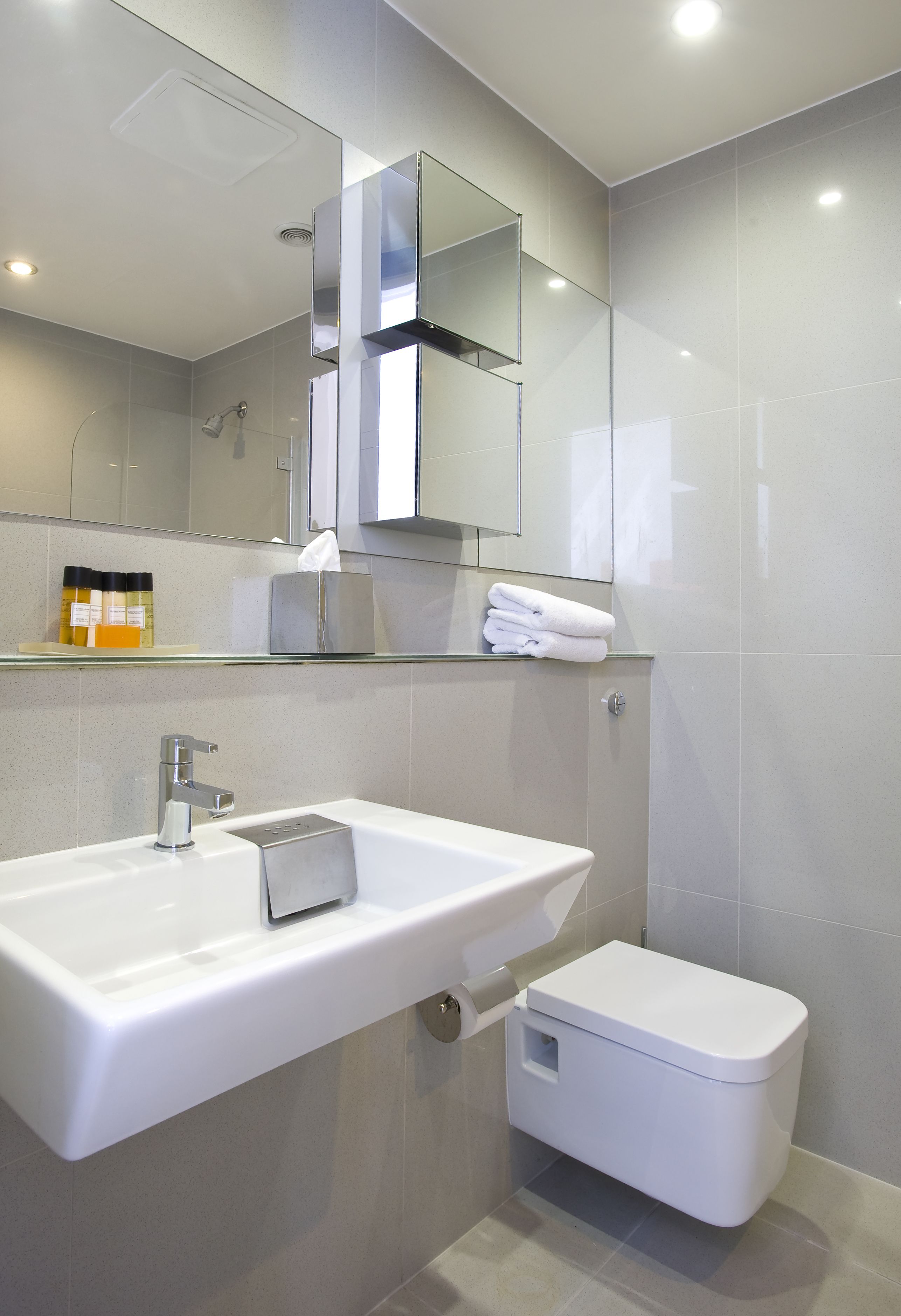 A modern bathroom with a white sink, a glass shelf with toiletries, a toilet, and a mirror above the sink.
