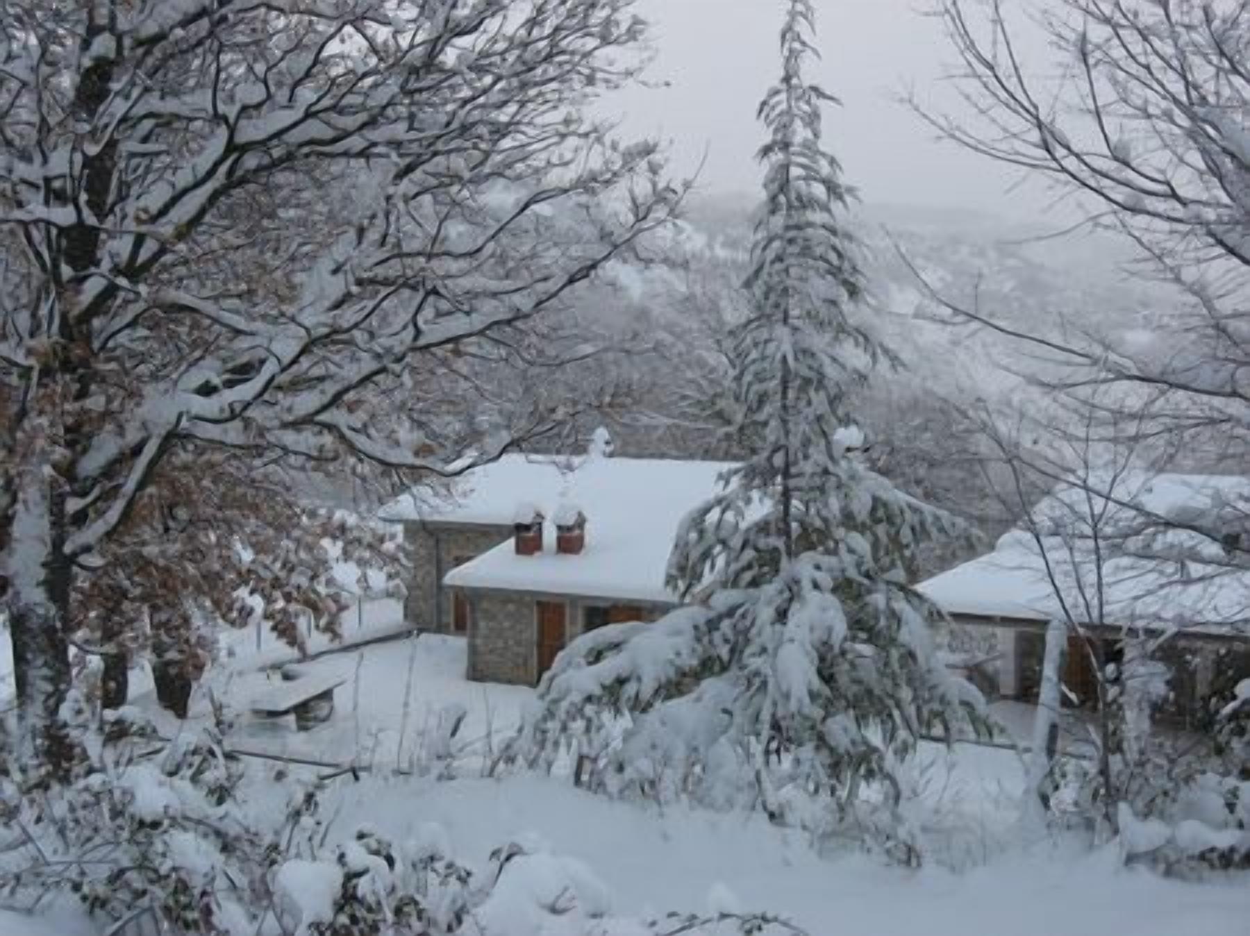 Un paysage enneigé avec une maison et des arbres.