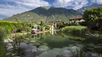 A serene garden with a pond, surrounded by lush greenery and mountains in the background.