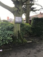 Un árbol con un cartel que dice 'Fresh Finest Quality Home Cooked Food'.