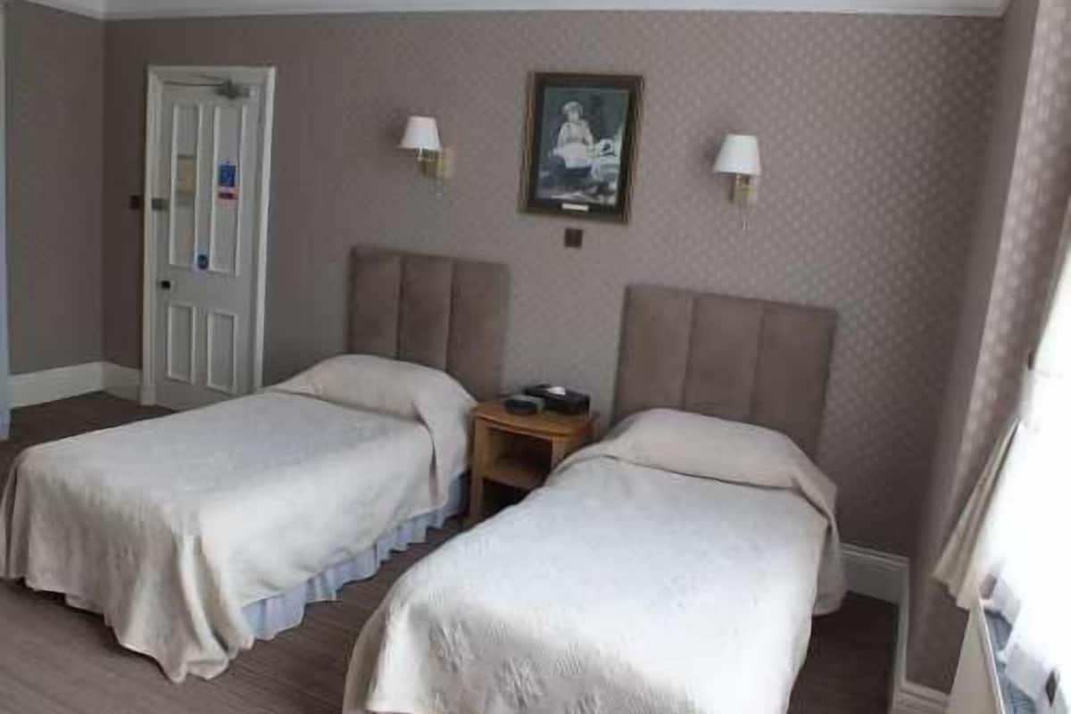 standard twin room, 2 bedrooms | 1 bedroom, desk, iron/ironing board, free wifi