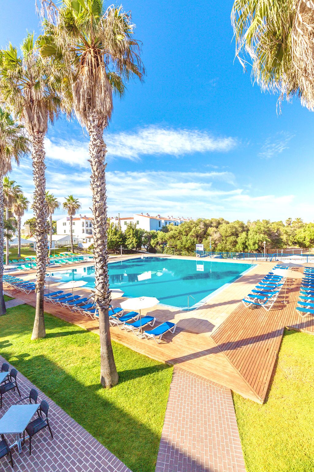 Un espace piscine avec des chaises longues et des palmiers.